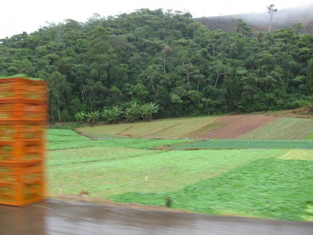 Projeto Agricultura
